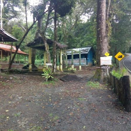 Ijen Mansjestic B&B Tamansuruh Eksteriør billede