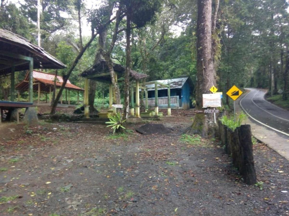 Ijen Mansjestic B&B Tamansuruh Eksteriør billede